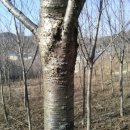 준성농장 이미지