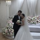 씨즈더데이 | 빈티지 아이폰 스냅 | 씨즈더데이 스냅 촬영 본식 후기