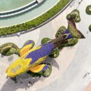 물뿜는 고래 이미지