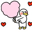 라코즈 이미지