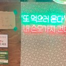 서울삼겹살신봉점