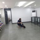 키움동물병원 이미지
