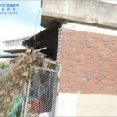 01-61 동구 이미지