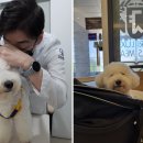 마크로24시 동물병원 이미지