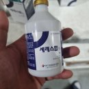 제일가축약품 이미지