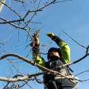 백운산장식당 이미지
