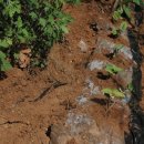 제비농장 이미지