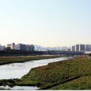 흰돌1호 이미지