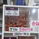 8월의 강원도 동해안....1 이미지