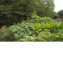 영이네농장 이미지