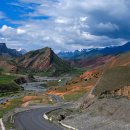 오장육부 이미지