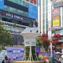 마루광장 이미지