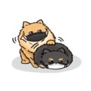 별빛마트 이미지