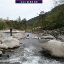 전형적인 배산임수형 전원주택부지 강릉시 연곡면 이미지