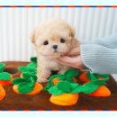 대실역남로4길 이미지