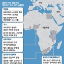 아프리카 매일경제