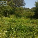 안흥초등학교덕천분교장 이미지