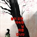 뜰에 나무를 심는 노인 이미지