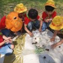 괴산어린이집 이미지