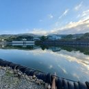 시동유정낚시터 이미지