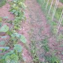 영찬농장 이미지