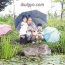 연꽃유치원 이미지