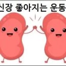 신장 좋아지는 운동 신장을 튼튼하게 하는 비결 이미지