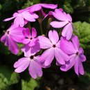 가천박물관 이미지