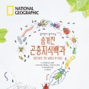 National Geographic 펼치면서 알아보는 숨겨진 곤충지식백과 이미지