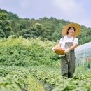 오도이촌 이미지