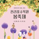 음악이 있는 힐링원예 이미지