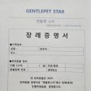 문경새재반려동물힐링센터(젠틀펫파라다이스) | [문경 반려동물 장례] 소중한 아이의 마지막 소풍, '젠틀펫 문경점'이 함께합니다.강아지장례,고양이장례