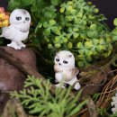 디어마인 이미지