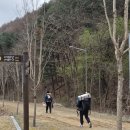 거진에코다이빙 리조트 | 4월 월간 일기 : 호명산 잣나무캠핑, 나고야 접수, 발리 프리다이빙