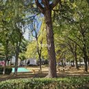 용봉동부어린이공원 이미지