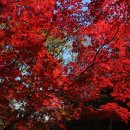 화랑대역5번출구 이미지