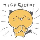 타이거앤에듀