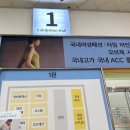 현대백화점랑방컬렉션박미희 | 한섬패밀리세일 2025 1관 여성브랜드 이용정보와 팩토리아울렛 비교 득템 후기