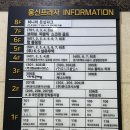 숲칼프(낙양점) | [경기 의정부] 숲칼프에서 피부관리, 다이어트, 두피관리 시원하게 받고 온 후기