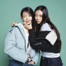 진컬렉션 이미지