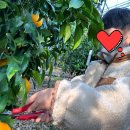 원암농장 이미지