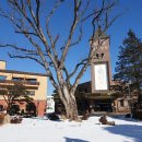 평택성동초등학교 이미지