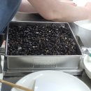 떡으로 만드는 한식디저트 | 수제떡&amp;한식디저트수업/ 콩설기만드는 법 / 떡수업 후기