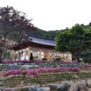 율포펜션
