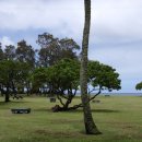 하와이 4일차:오아후(와이키키-펄시티-돌파인애플농장-와이메아밸리-선셋비치-카후크-쿠알로아비치-카할루우-와이키키)(150509) 6 이미지