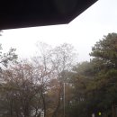 [광주 광산구]광주여대~동자봉~풍악정~어등산 석봉(338m)~동자봉(154m)~광주여대 회귀하기(2015/11/7/토 오후) 이미지