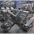 헬스 바디 라인업 이미지