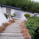 구릉 연가 이미지