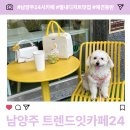 남양주 트렌드잇카페24 남양주 디저트 맛집/애견 동반 가능/남양주 24시 카페 솔직 후기!
