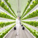 스마트팜 이미지